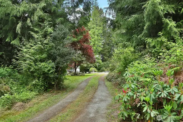 Your driveway is at the northern end of April Drive.  The cedars, rhododendrons and native plants greet you as you arrive. Spend some time outside and discover all the gardens that await you.