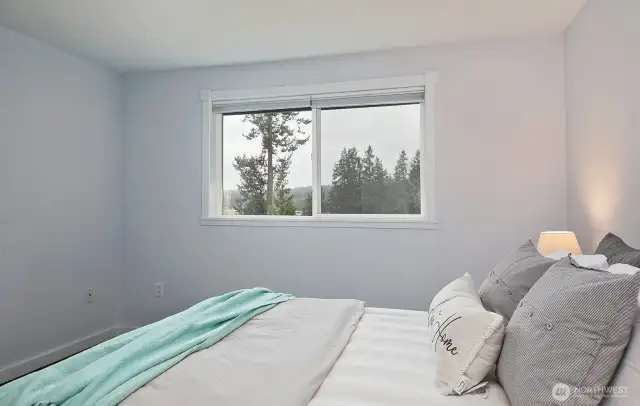 Cloudy day for photos. Maybe you will have blue sky and sunshine when you tour. You will see the glistening water of Lone Lake on one of those days. Closet is to your back.