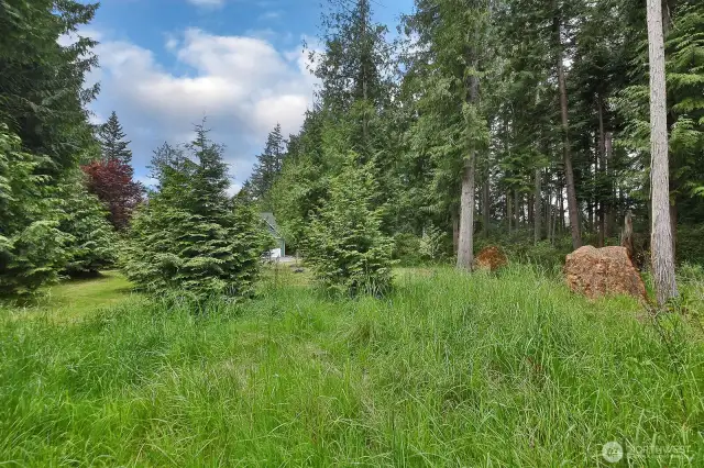 Your acreage includes the meadow and forest on the eastern portion of your acreage.