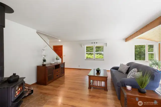 Living room with fireplace