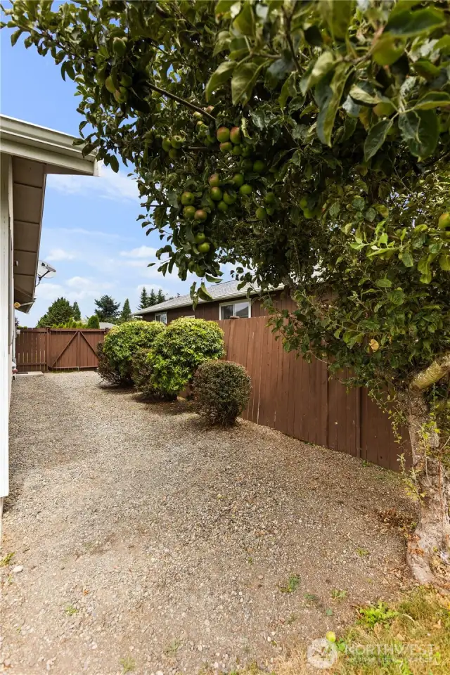 Side yard