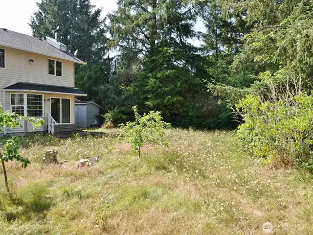 Large backyard.