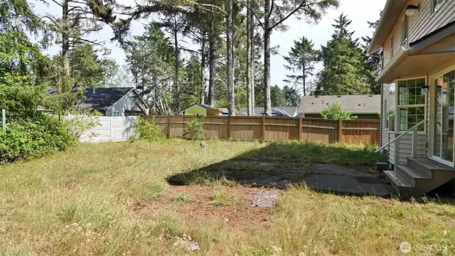 Backyard.