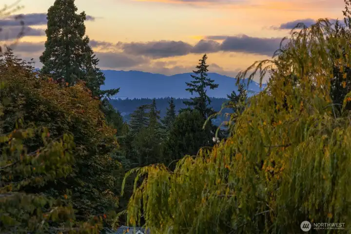 On a clear day you can see the Olympic mountains and during the winter some lake views!