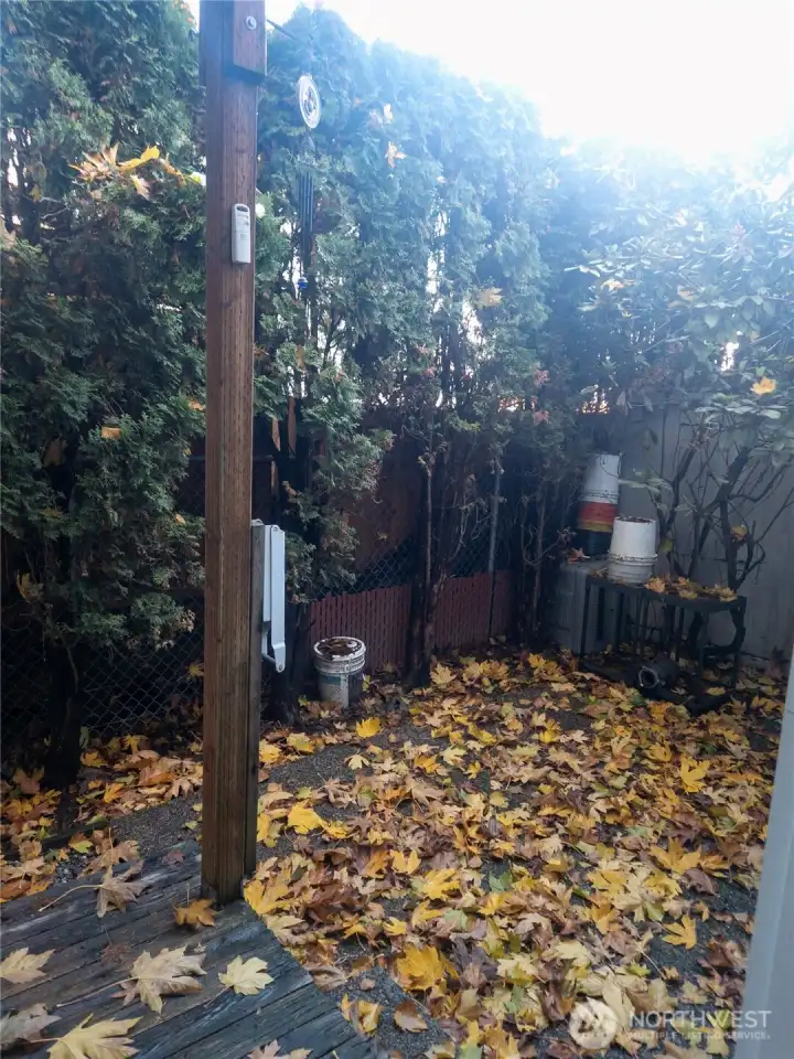 The private backyard area offers a cozy outdoor space surrounded by mature evergreens, creating a quiet and secluded spot to unwind. With room for seating, plants, or a small garden setup, it provides a charming extension of the living space year-round.