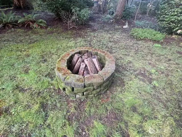 firepit in back yard