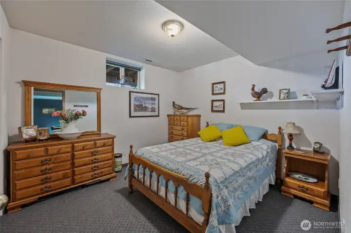 Lower level bedroom