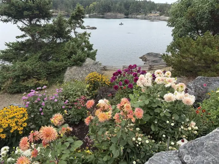 Vibrant, established gardens bloom along the shoreline, creating a colorful and serene outdoor setting overlooking the water.