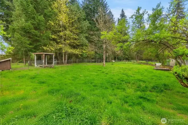 This photo has been graphically enhanced