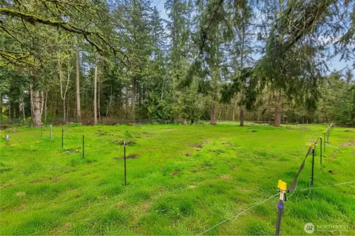 This photo has been graphically enhanced