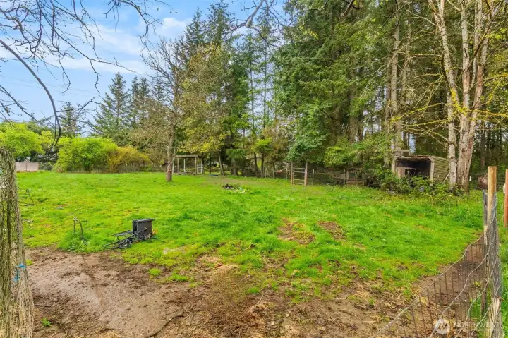 This photo has been graphically enhanced