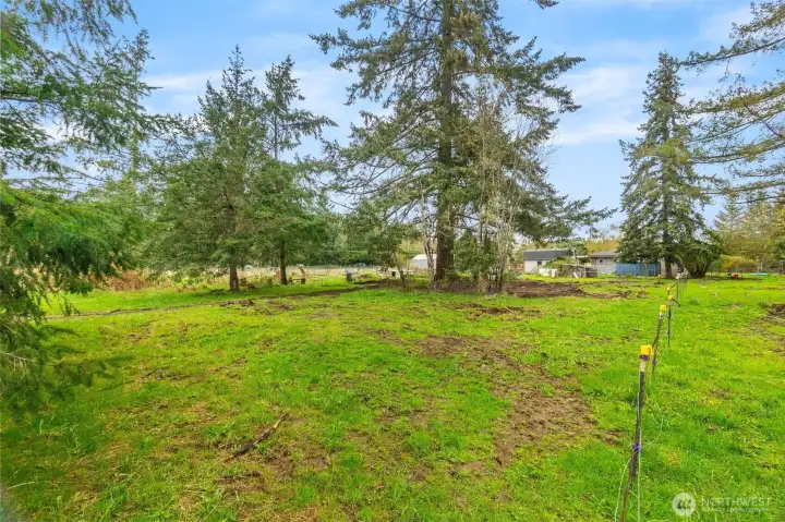 This photo has been graphically enhanced