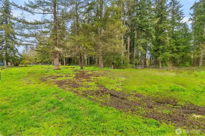 This photo has been graphically enhanced