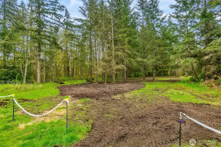 This photo has been graphically enhanced