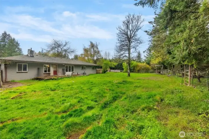 This photo has been graphically enhanced