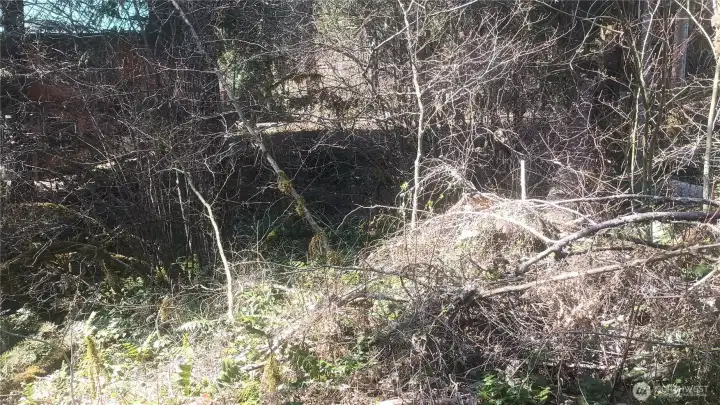 Additional angle of the lot showcasing terrain and tree coverage.