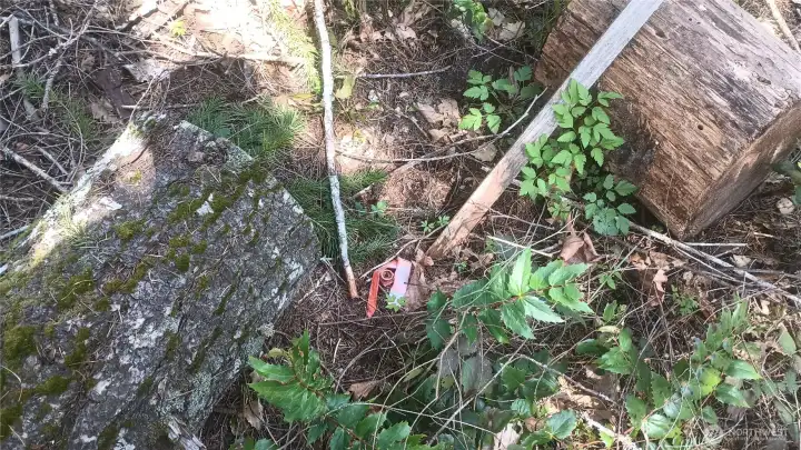 Flagged on all 4 corners