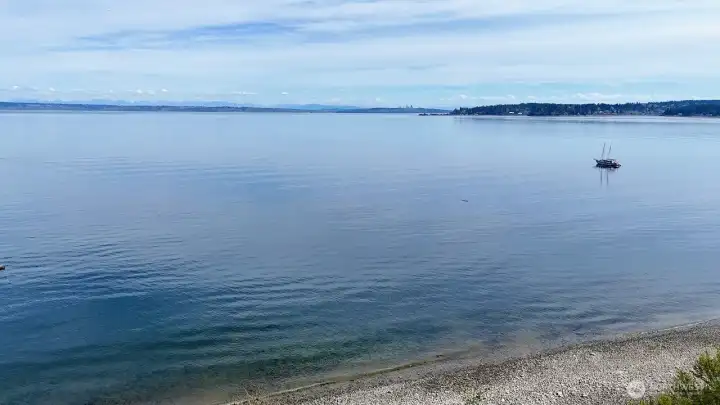 The Seattle skyline!