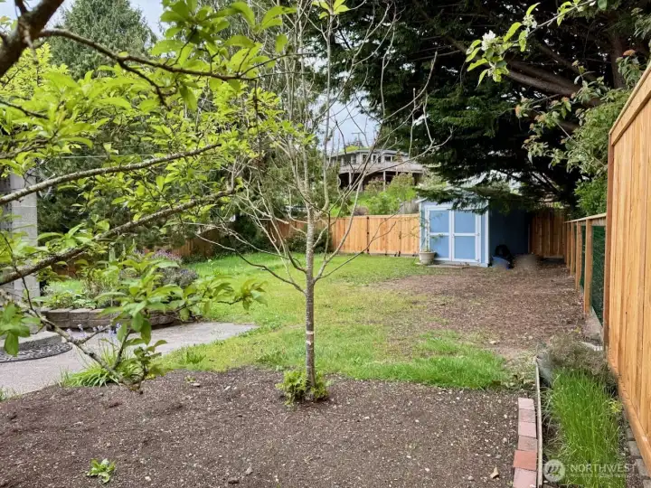 View to the new front gate and fence.
