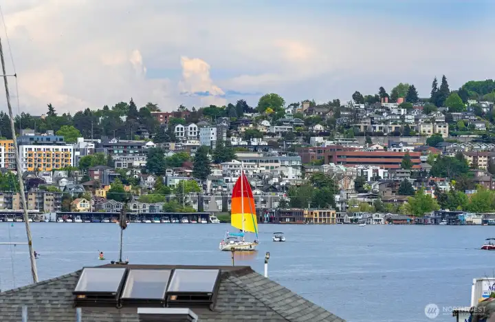Watch the sailboats go by!