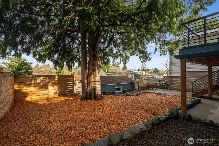 This grandfather cedar tree is such a showoff in the back yard. The roof in-sight is the detached garage creating even more space surrounding this sweet home.
