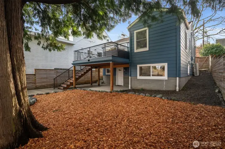 Thoughtful updates, decades of love and mature growth surround this home. New fence too!