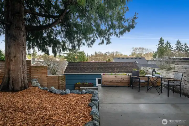 Patio space with planters for gardening whims surround the backyard.