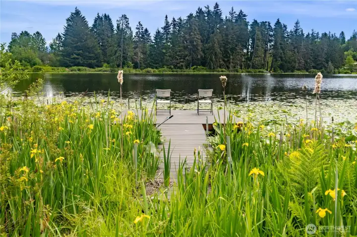 Peaceful Dock