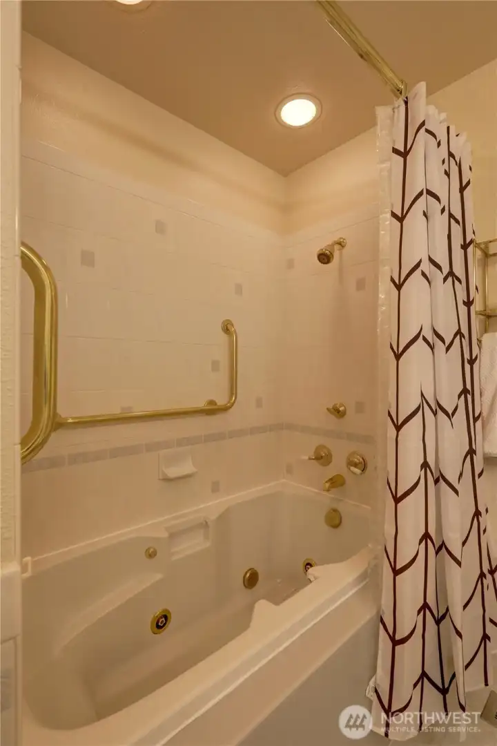 Main bathrooma