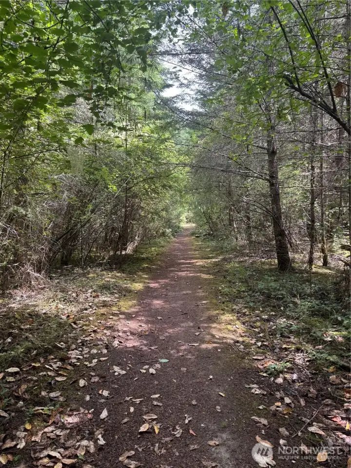 Trail to the lot Trail to the lot