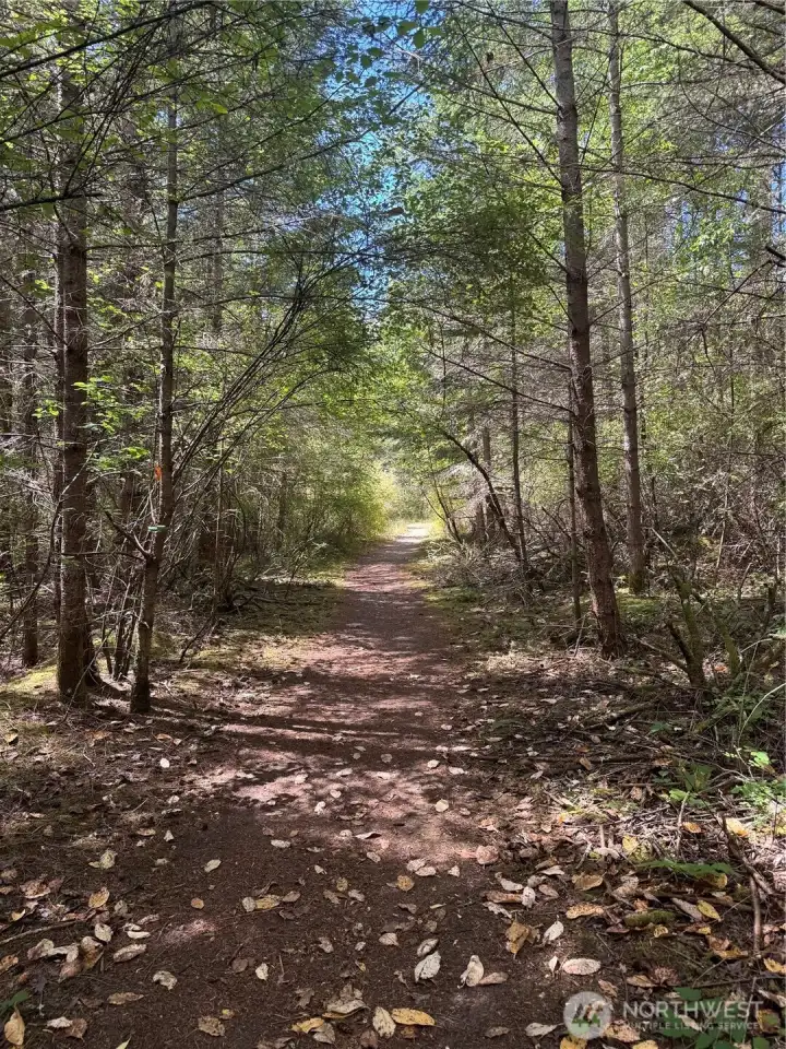 Trail to the lot Trail to the lot