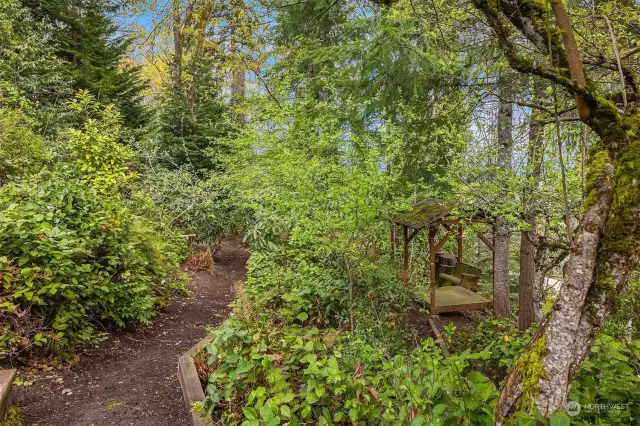Mature landscaping and beautiful, natural yard create endless options for exploring and enjoying.