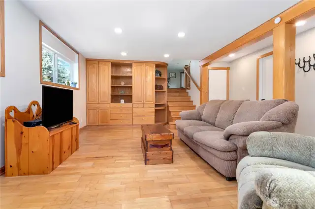 Lower level family room