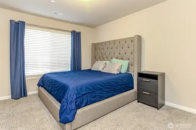 Downstairs bedroom