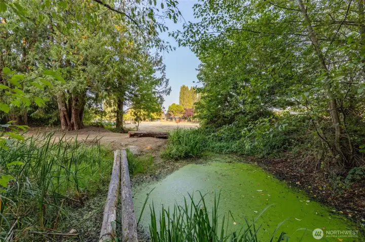 Lovely pond towards the back of the property will be full again once the winter rains start.
