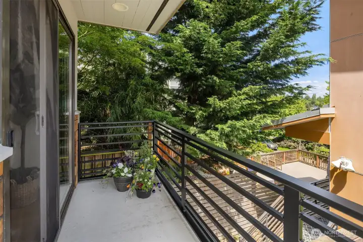 Quiet Peaceful Balcony's