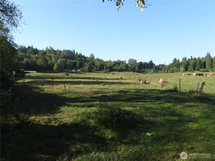 View South from river