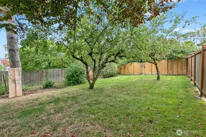 Spacious separate fully fenced backyard