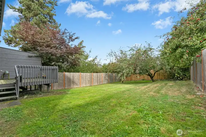 Spacious separate fully fenced backyard