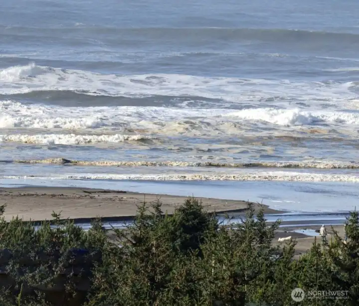 View from living room window