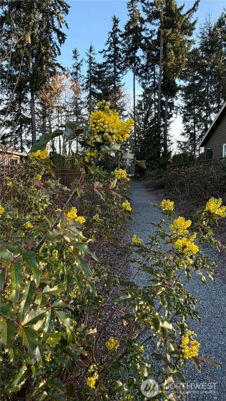 Landscaping in Trilogy is amazing. Literally everywhere. Spring is just about to BUST WIDE OPEN so come and see before the spring and summer price adjustments hit. Now is the time!