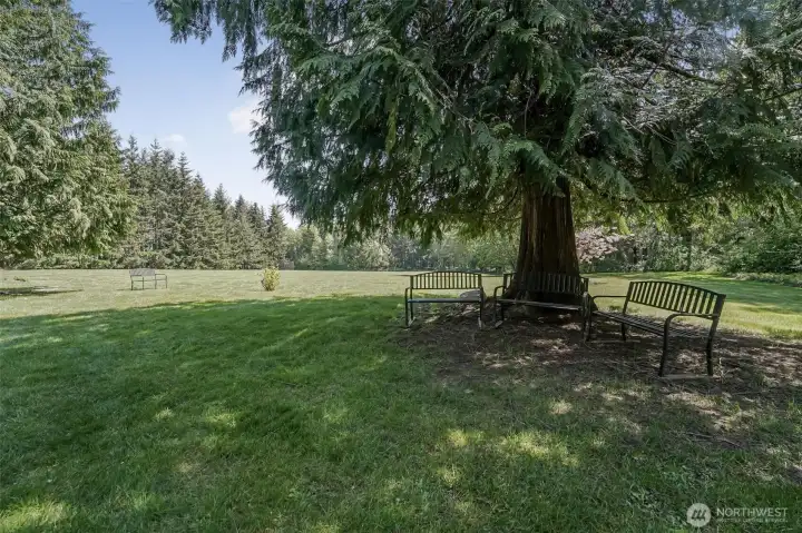 Camano Hills features a large park, gazebo with a fireplace and grills plus lovely walking trails.
