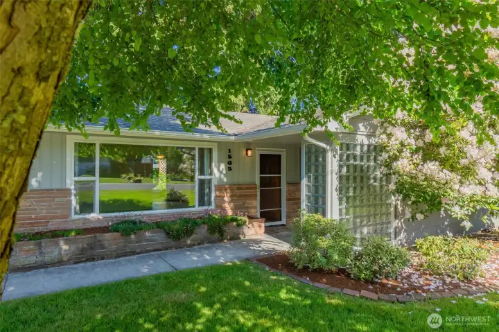 Gorgeous shade trees in the front yard to help keep the house cool