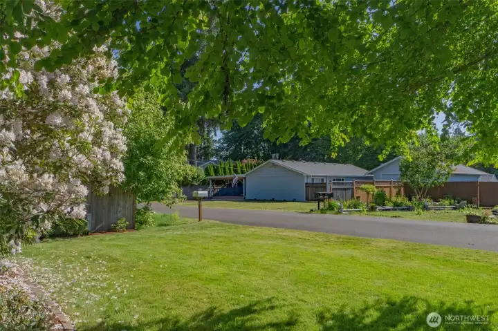 another view of the dead end street from the front of your property.