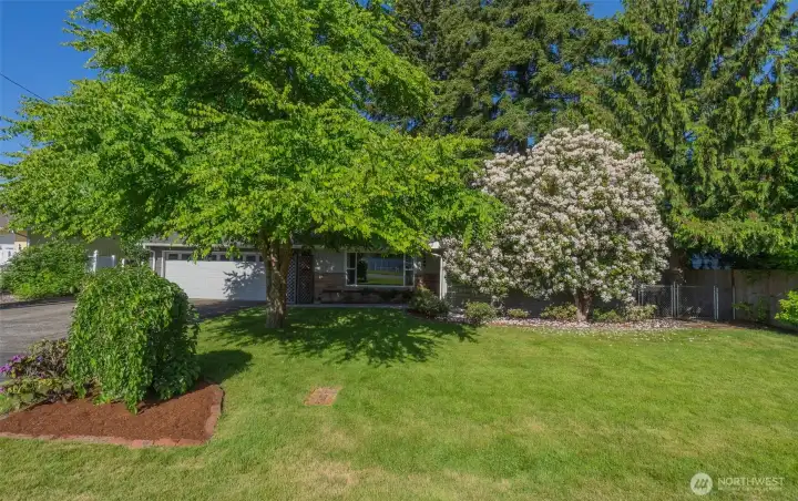 sprinkler system in the front and back yard help keep your grass green.
