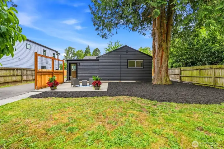 Private level backyard Private level backyard