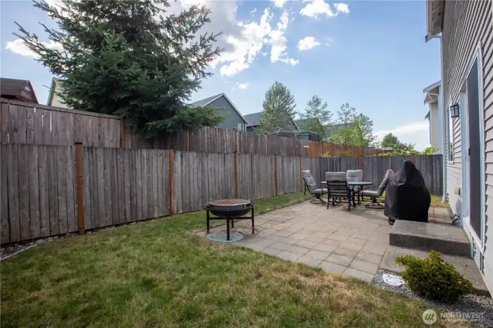Back yard
