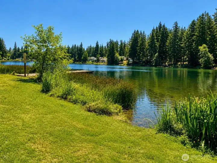 Swimming Lake Swimming Lake