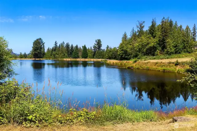 Otter Pond