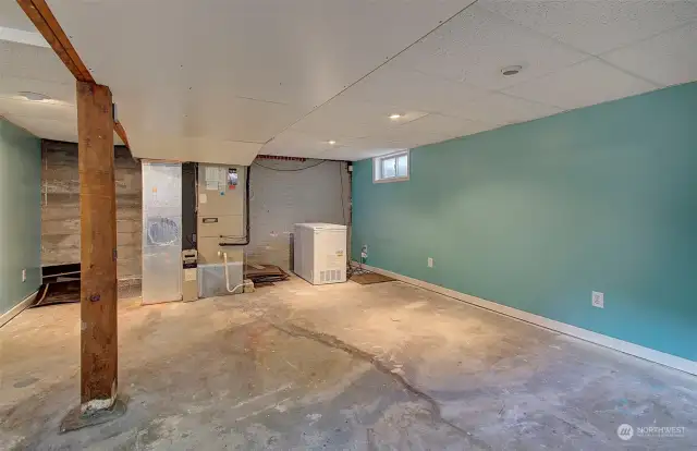 Family Room Basement